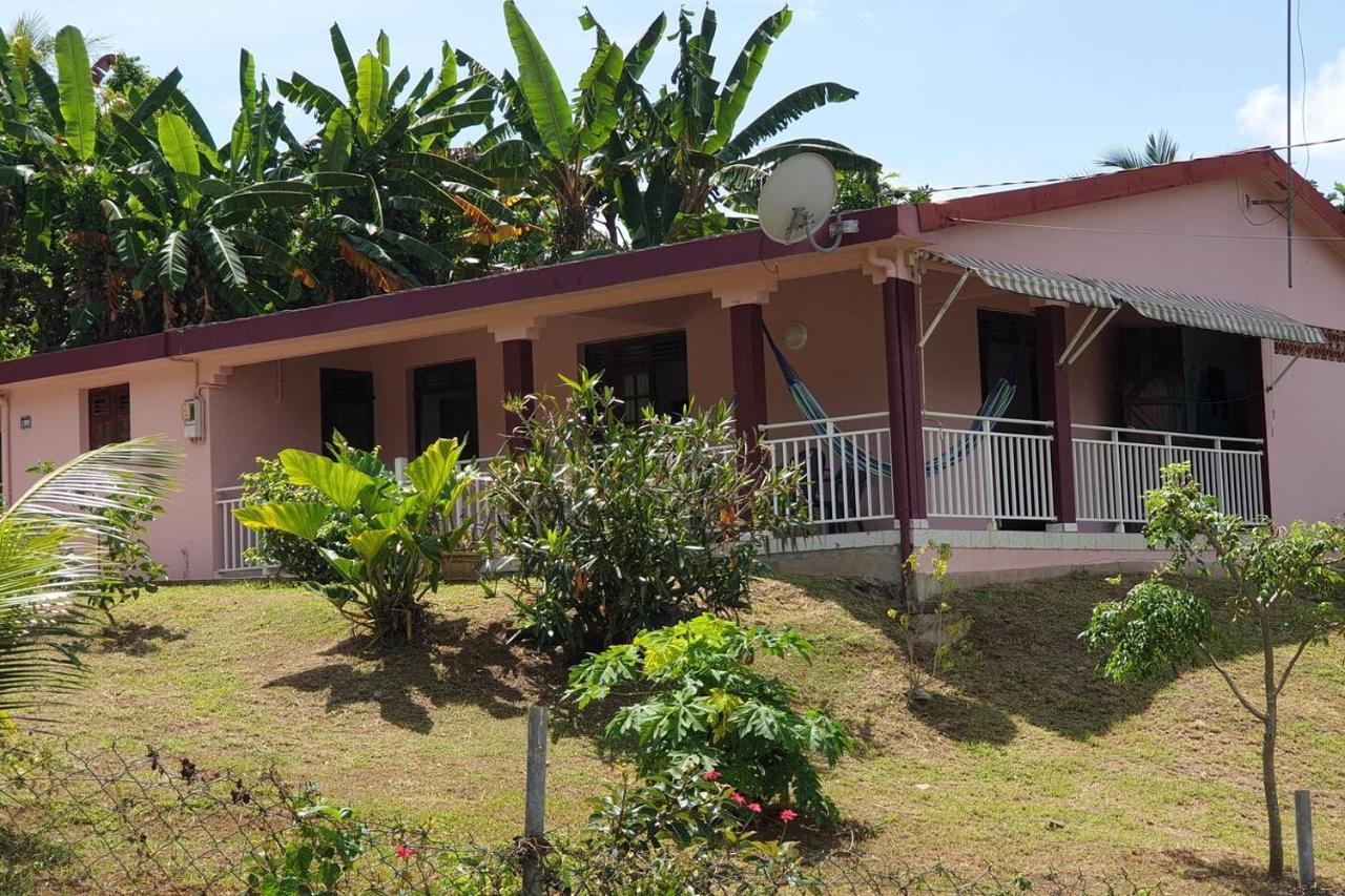 Le Petit Robert Maison F3 Plein Pied Le Robert Buitenkant foto